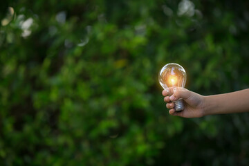 hand holding light bulb against nature, icons energy sources for renewable,