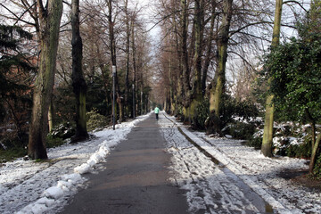 allee nach leichtem schneefall teilweise freigeräumt