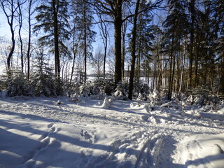 Winterlandschaft