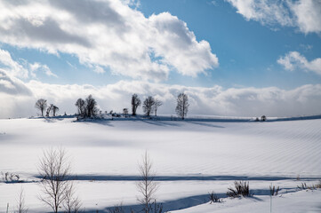 冬美瑛雲影移る雪の丘