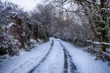 Obraz premium Country lane with tree marks in snow