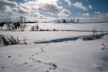 冬美瑛足跡続く雪の大地