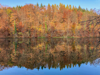 Herbstliche Waldspiegelung in der Reuss bei Bremgarten in der Schweiz.