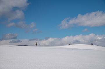 素敵な青空の冬美瑛の丘