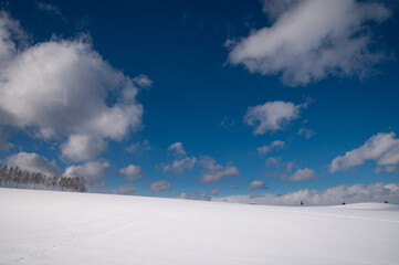 素晴らしい空の下の冬美瑛の丘