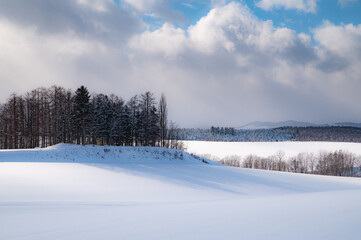 晴れの日の冬美瑛の丘