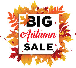 Big Autumn sale poster with brown leaves