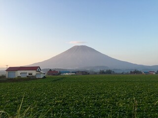 Naklejka premium 朝焼けの羊蹄山