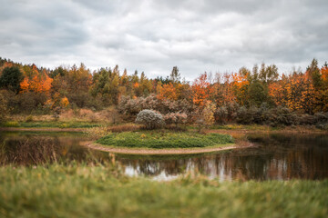 Autumn scene in a nature reserve with a pond and island in the middle of lake gorgeous orange colours leaves falling in the fall wildlife reflections in river water plants serene deserted