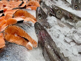 Pescado fresco en hielo 