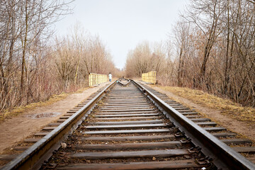 Railway among bare and bald trees on an autumn or spring day
