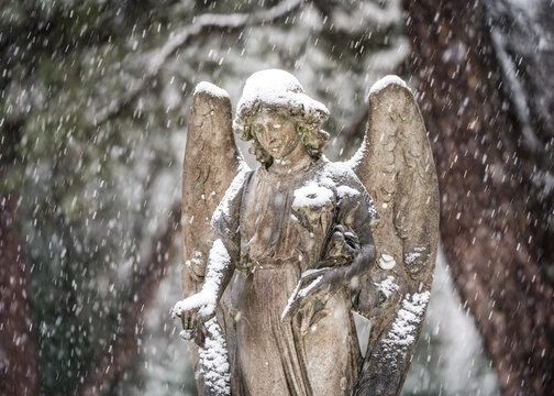 Statue of angle sculpture gravestone in winter snow peaceful snowfall December religious cemetery with wings headstone and woodland trees behind