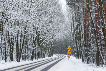 Asfaltowa droga prowadząca przez las pokryty grubą warstwą  śniegu. © boguslavus