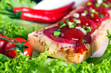 zapiekanka, jedzenie, pomidor, posiłek, ser, jarzyna, przekąska, swiezy, kanapka, obiad, sałata, bazylia, lunch, śniadanie, zdrowa, płyta, przepyszny, gotowanie