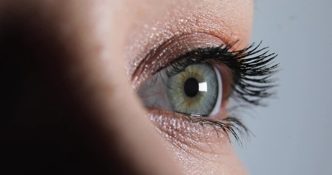 One eye with shining beige makeup, long lashes and black eyeline arrow on high eyelid. Extreme closeup view of woman's opening beautiful eye with green iris. Quietly and clearly looking ahead.