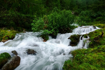 white cold rushing mountain brook with many steps between a green valley