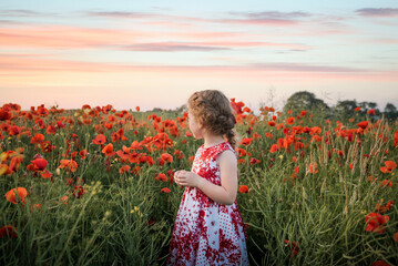 Fototapeta premium Pretty child young girl portrait red dress stood in big poppy flower field countryside landscape at dusk orange sunset beautiful pastel sky clouds standing surrounded wild flowers poppies