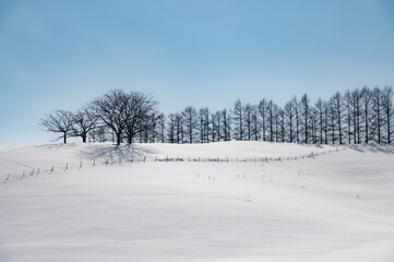 冬美瑛素晴らしい雪影のある丘の上