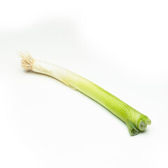 Single isolated white green fresh spring onion vegetable food