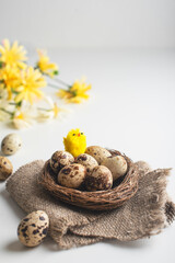 Happy easter! Congratulatory Easter background. Easter eggs and flowers. Quail eggs and chicken in the nest. Spring background. Copy space