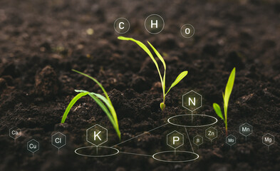 Role of nutrients in plant life for development. Soil with digital mineral nutrients icon.