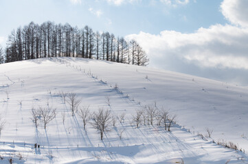 冬美瑛素晴らしい雪影のある丘