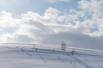 冬美瑛素晴らしい雪影のある時間