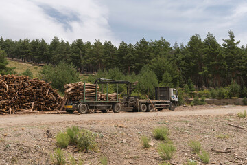 wooden stick transport truck in Sierra Nevada