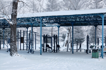winter in the park
