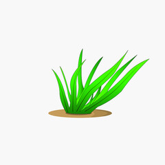 seaweed is cute cartoon style, isolated and trendy. Seaweed background for your website design logo, app, UI. Vector icon illustration, EPS10.