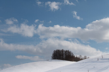 冬美瑛晴れた日の雪の丘