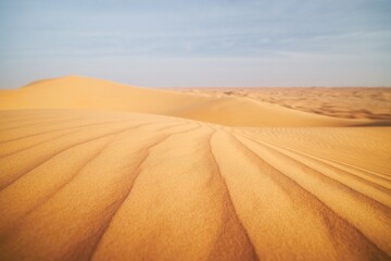 Selective focus on pattern of sand dunes in desert landscape. Abu Dhabi, United Arab Emirates