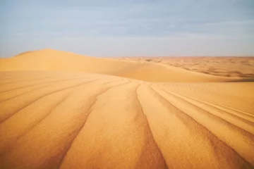 Fotobehang Selective focus on pattern of sand dunes in desert landscape. Abu Dhabi, United Arab Emirates © Chalabala
