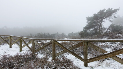 Fence in the winter with fog and snow on the top op the Lemerer Mountain