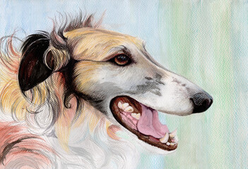 Portrait of a dog, watercolor. Greyhound.Animalistic drawing.Use printed materials, signs, objects, websites, maps, posters, postcards, packaging.