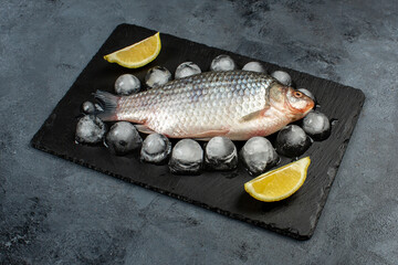 Common carp on black background
