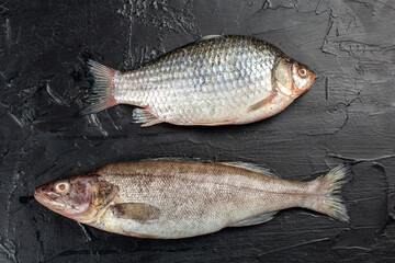 Bersh fish and carp on black background