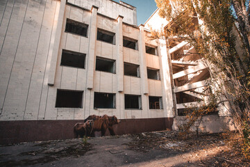 Small destroyed building overgrown with a tree city of Pripyat
Moments footage of the apocalypse disaster after the explosion of the Chernobyl nuclear power plant the ruined city of Pripyat launched
