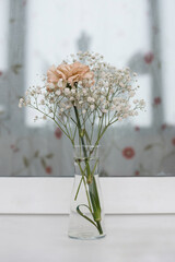 Gypsophila and carnation vase on the window