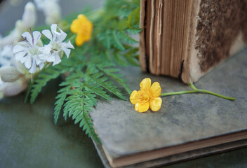 Vintage book and yellow flower on the old wooden background