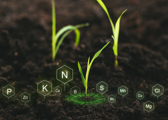 Role of nutrients in plant life for development. Soil with digital mineral nutrients icon.