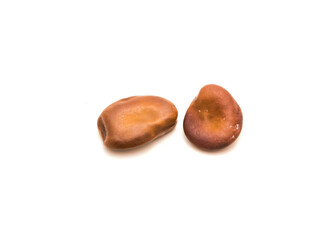 Two fava beans or broad beans planting seeds isolated on white background