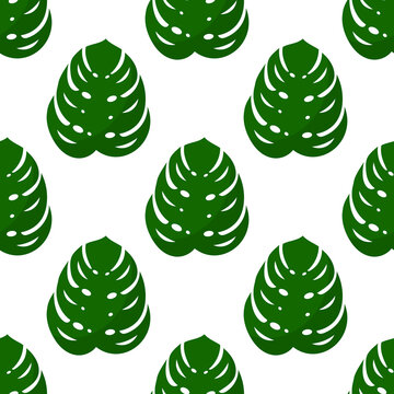 Green monstra leaves seamless background.