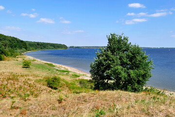 Fototapeta na wymiar Dummersdorfer shore, Luebeck landscape conservation area
