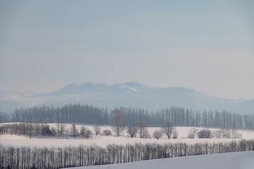 早朝美瑛の冬霞遠景