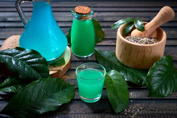 ingredients for making a potion. leaves, flowers, bottles