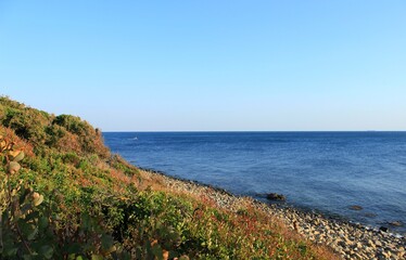 beach and sea