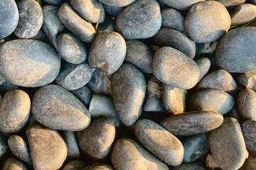 Sunlight on smooth round pebbles sea texture background