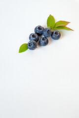 Blueberries with leaves on white background