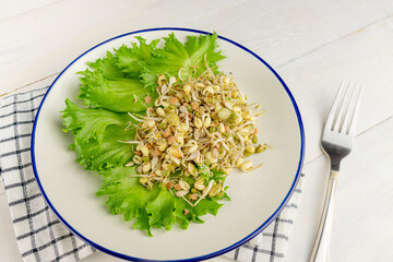 Whole wheat and oats sprouts salad. Organic grains. Raw, vegan, vegetarian healthy food concept.